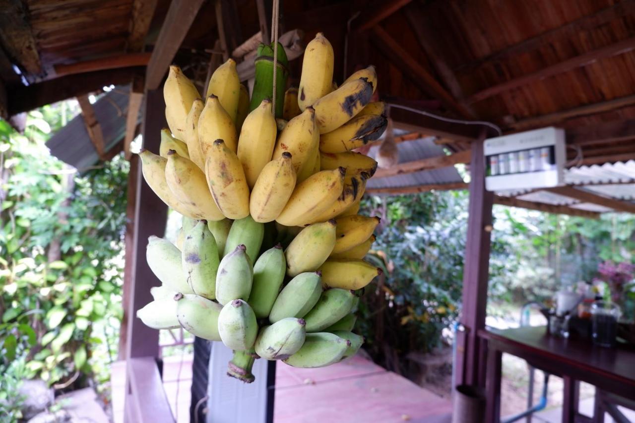 Song Lao Guesthouse Thakhek Ngoại thất bức ảnh