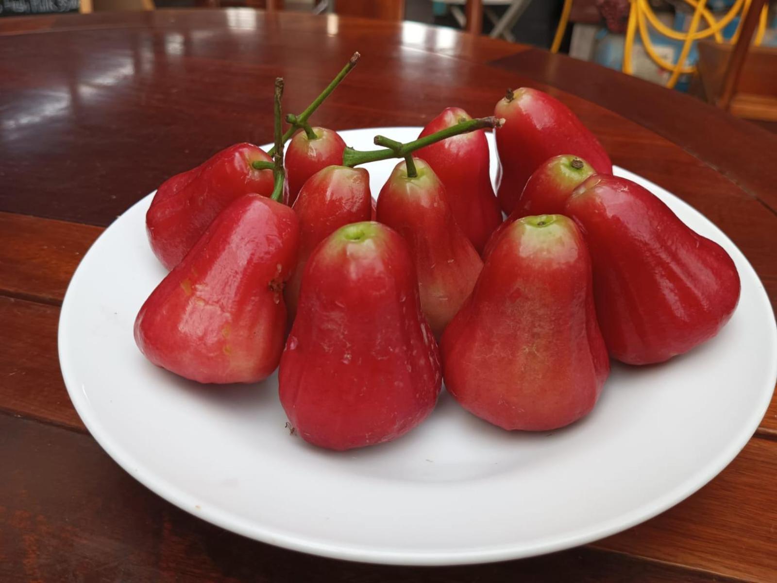 Song Lao Guesthouse Thakhek Ngoại thất bức ảnh